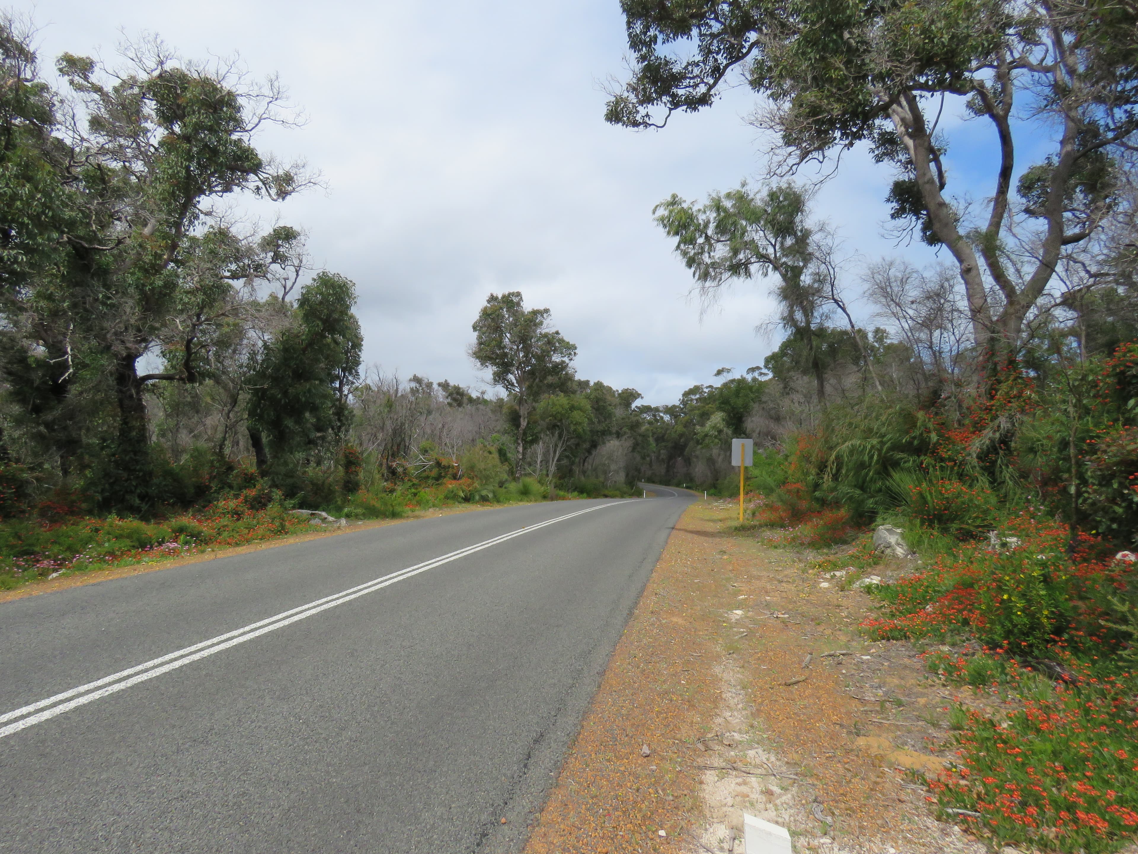 Caves Road at Mammoth Cave, Boranup