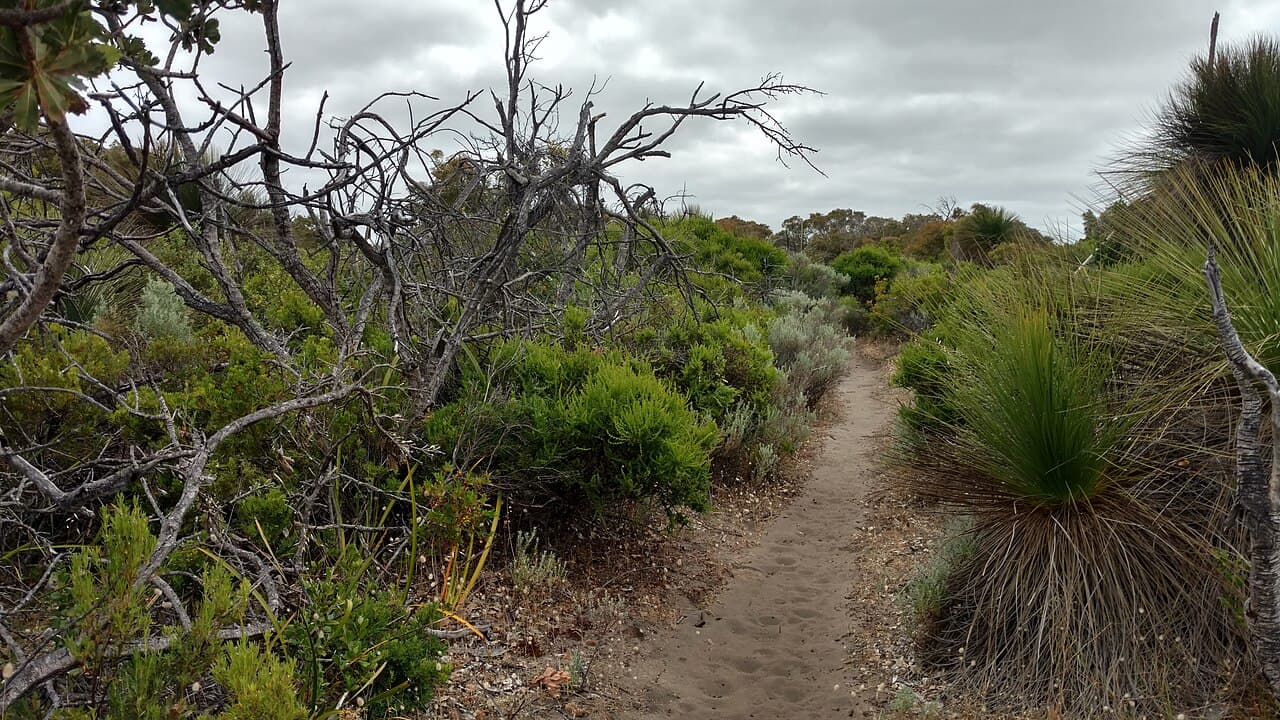 Cape to Cape track and the country around Cowaramup and the Margaret River region