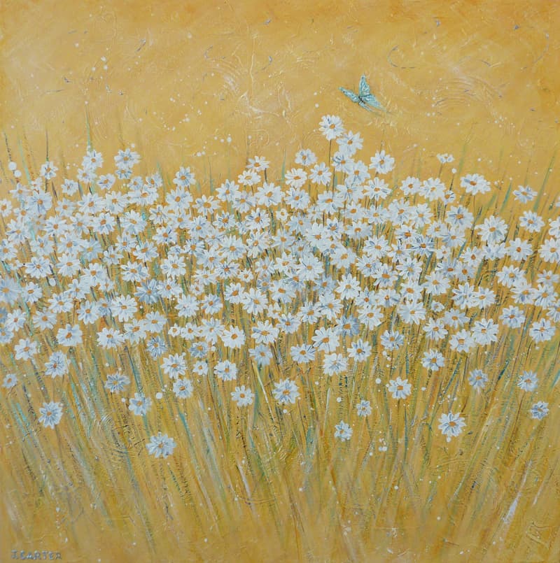 Daisies & Blue Butterfly